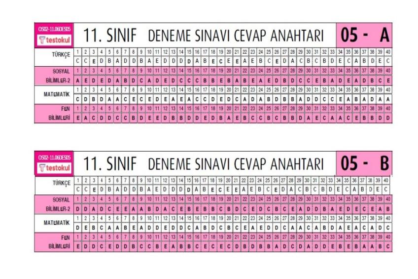 11 - 12.SINIF DENEME CEVAP ANAHTARI (17.03.2026)
